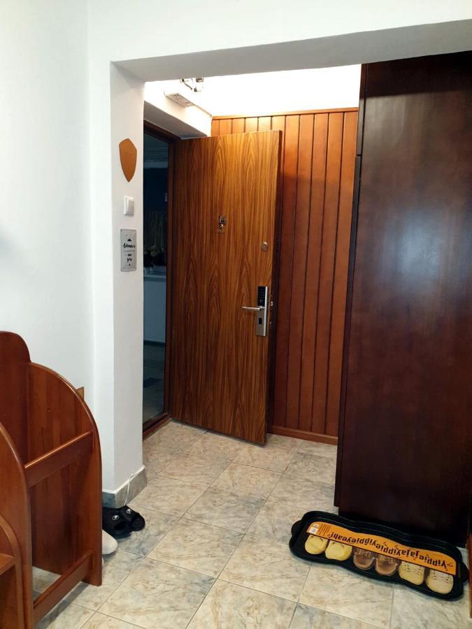 Apartament Medieval プレデアル エクステリア 写真