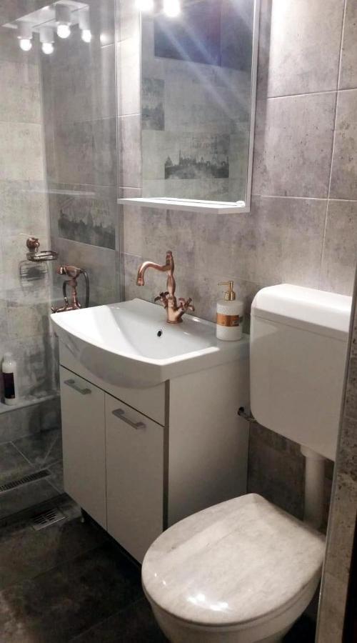 Apartament Medieval プレデアル エクステリア 写真